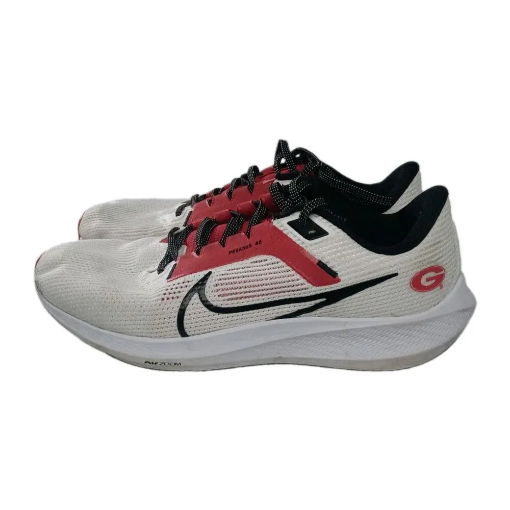Nike zoom pegasus